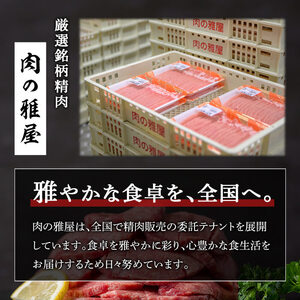 牛タン 厚切り 塩味 ＜500g＞ スリット加工 味付き 牛たん タン塩 たん塩 牛肉 肉 お肉 厚切り BBQ 焼肉 冷凍 【株式会社バリューネットワーク】ta562