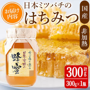 七ツ森の恵 日本ミツバチのはちみつ 300g ハチミツ 蜂蜜 日本蜜蜂 国産 日本ミツバチ 百花蜜【はちみつ屋】ta199