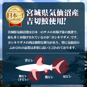 高級ふかひれ姿煮＜手ビレ＞中華味 計500g(250g×2p) フカヒレ 気仙沼産 吉切鮫 惣菜 おかず 中華 あんかけ 小分け パック コラーゲン【株式会社仙台ミンミン】ta214