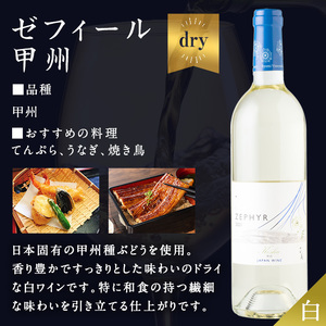 了美ワイン 2本セット 750ml×2 赤ワイン 白ワイン 飲み比べ アルコール お酒 みらいファームやまと【了美ワイナリー】ta317