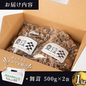 七つ森ふもと舞茸 1kg まいたけ マイタケ きのこ 農家直送 天ぷら すき焼き 炊き込みご飯 宮城県産 【株式会社七つ森ふもと舞茸】ta325