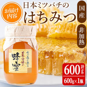 七ツ森の恵 日本ミツバチのはちみつ 600g ハチミツ 蜂蜜 日本蜜蜂 国産 日本ミツバチ 百花蜜【はちみつ屋】ta200