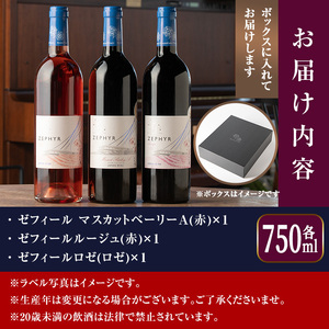 了美ワイン 750ml×3本セット ta316【了美ワイナリー】