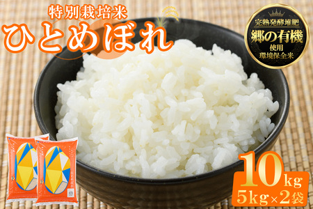 令和5年産＞宮城県産郷の有機ひとめぼれ 5kg×2 ta205【パールライス