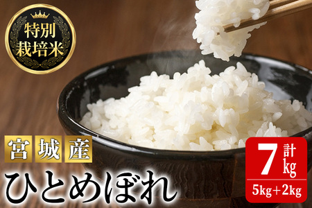 ＜令和5年産＞特別栽培米 ひとめぼれ 7kg お米 おこめ 米 コメ 白米 ご飯 ごはん おにぎり お弁当 有機質肥料【JA新みやぎ】ta219