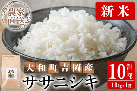 ＜令和6年産 新米＞お米農家直送！ササニシキ 10kg お米 おこめ 米 コメ 白米 ご飯 ごはん おにぎり 宮城米 ささにしき 新米 令和6年産 お弁当 【お米農家ろくすみファーム】 ta291