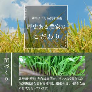 ＜令和6年産 新米＞お米農家直送！ササニシキ 10kg お米 おこめ 米 コメ 白米 ご飯 ごはん おにぎり 宮城米 ささにしき 新米 令和6年産 お弁当 【お米農家ろくすみファーム】 ta291