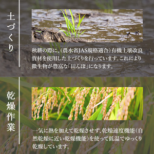 ＜令和6年産 新米＞お米農家直送！ササニシキ 10kg お米 おこめ 米 コメ 白米 ご飯 ごはん おにぎり 宮城米 ささにしき 新米 令和6年産 お弁当 【お米農家ろくすみファーム】 ta291