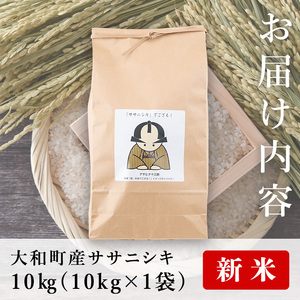 ＜令和6年産 新米＞お米農家直送！ササニシキ 10kg お米 おこめ 米 コメ 白米 ご飯 ごはん おにぎり 宮城米 ささにしき 新米 令和6年産 お弁当 【お米農家ろくすみファーム】 ta291