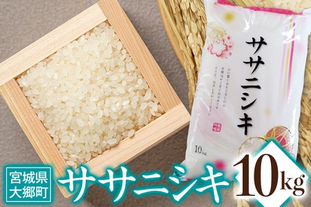 令和5年産 ササニシキ 10kg｜宮城産 大郷町 白米 ごはん 精米 [0119]