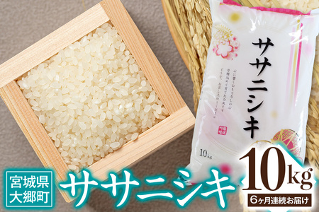 [定期便／6ヶ月連続] 令和6年産 ササニシキ 10kg｜2024年 宮城産 大郷町 白米 米 コメ 精米 定期便 [0211]