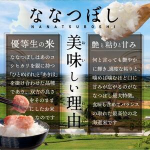 【令和6年産先行受付】北海道産ななつぼし10kg(5kg×2袋) 五つ星お米マイスター監修(深川産)【配送不可地域：離島・沖縄県】【1467025】