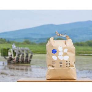 北海道産 特別栽培米ななつぼし 玄米 5kg×2袋【1543233】