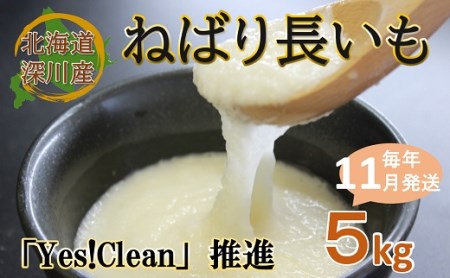 ねばり長いも