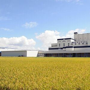 【令和7年産先行受付】北海道深川産ふっくりんこ5kg(普通精米)【1296654】