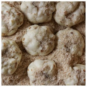 【令和8年産先行受付】北海道深川市産　ゆり根(Lサイズ)　2kg【1304890】