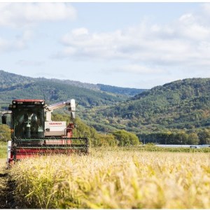 北海道産ゆめぴりか 栽培期間中農薬・化学肥料不使用 白米5kg×2袋【1382872】
