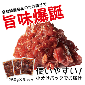 べこ政宗【牛ハラミたれ仕込み】750g (250g×3)｜牛肉 牛ハラミ 焼肉用 冷凍 小分け 焼肉 BBQ 味付き 家計応援 焼くだけ 牛はらみ 牛ハラミ 焼肉 牛はらみ 牛ハラミ 焼肉 [0219]