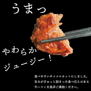 べこ政宗【牛ハラミたれ仕込み】750g (250g×3)｜牛肉 牛ハラミ 焼肉用 冷凍 小分け 焼肉 BBQ 味付き 家計応援 焼くだけ 牛はらみ 牛ハラミ 焼肉 牛はらみ 牛ハラミ 焼肉 [0219]