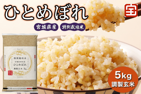 令和7年産 特別栽培米 宮城県産 ひとめぼれ 調製玄米 5kg｜2025年 宮城産 米 玄米 お米 米 こめ コメ 特栽米 ひとめぼれ 宮城米 ふるさと納税 新米 [0349]