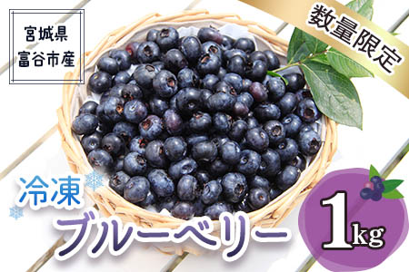 2023年 富谷市産] 冷凍ブルーベリー 1kg｜国産 特産 名産 フルーツ 令