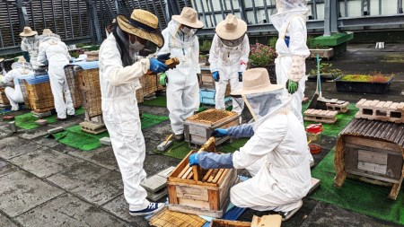 2023年採蜜 とみやはちみつ 120g×3個セット | 令和5年収穫 国産 富谷 蜂蜜 ハチミツ 瓶 [0043]