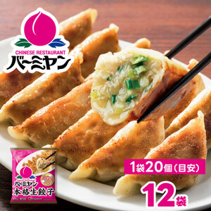 すかいらーく バーミヤン 冷凍生餃子 12袋(目安240個)【配送不可地域：離島】【1511283】