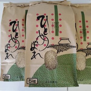 【令和7年産】大衡村産ひとめぼれ5kg×3袋(玄米)【1686444】