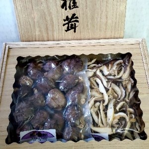 大衡村産　原木干ししいたけ(100g×2パック入り)1箱【1249258】