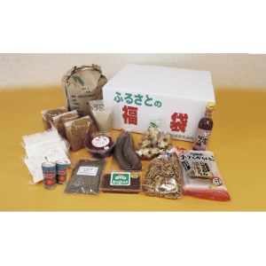 【宮城県色麻町特産品詰め合わせ】ふるさとの福袋Aセット【14種】【1354417】