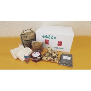 【宮城県色麻町特産品詰め合わせ】ふるさとの福袋Bセット【7種】【1354418】