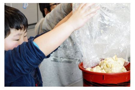 【親子で作る】手作り味噌おかわりキット（樽なし） [今野醸造 宮城県 加美町 44581367]味噌 みそ ミソ 手作り キット オリジナル 無添加 趣味 自由研究 44581367