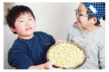 【親子で作る】手作り味噌おかわりキット（樽なし） [今野醸造 宮城県 加美町 44581367]味噌 みそ ミソ 手作り キット オリジナル 無添加 趣味 自由研究 44581367