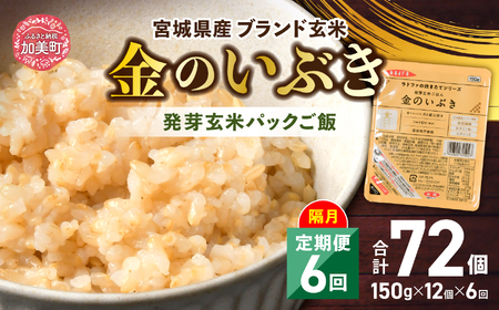 【 6回 隔月 定期便 】 宮城県産 金のいぶき 発芽玄米 パックごはん 12個×6回 総計72個 [ JA加美よつば（生活課） 宮城県 加美町 yo00005-6k]  パック ごはん おいしい 金のいぶき パック ごはん アウトドア 金のいぶき 備蓄