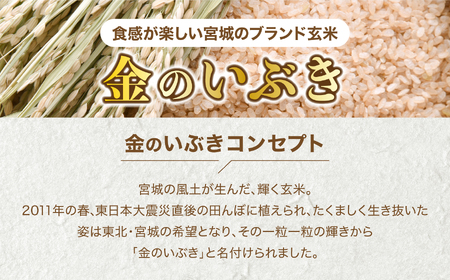 【 6回 隔月 定期便 】 宮城県産 金のいぶき 発芽玄米 パックごはん 12個×6回 総計72個 [ JA加美よつば（生活課） 宮城県 加美町 yo00005-6k]  パック ごはん おいしい 金のいぶき パック ごはん アウトドア 金のいぶき 備蓄