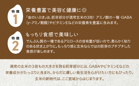 【 6回 隔月 定期便 】 宮城県産 金のいぶき 発芽玄米 パックごはん 12個×6回 総計72個 [ JA加美よつば（生活課） 宮城県 加美町 yo00005-6k]  パック ごはん おいしい 金のいぶき パック ごはん アウトドア 金のいぶき 備蓄