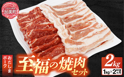 【2回 定期便 】至福の焼肉セットC 1kg×2回 総計2kg《隔月1回お届け》 [関精肉畜産 宮城県 加美町 44581359]豚 豚肉 ポーク 牛カルビ 焼肉 BBQ 真空パック 冷凍 44581359
