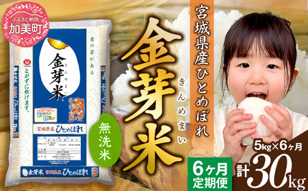 金芽米 新米定期便5kg×6回 金芽米