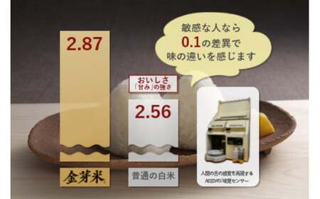 米 無洗米 金芽米 令和6年 宮城県 加美産 ひとめぼれ 特別栽培米 10kg  ( 5kg × 2袋 ) [ 宮城県 加美町 ]  お米 こめ コメ 精米 白米 玄米 きんめまい きんめ米 おすすめ 新米 ナカリ タカラ米穀 パワーライス 亜糊粉層 カメイ 新生活応援 美味しい / km00010-r6-10kg 