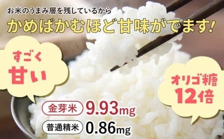 無洗米 金芽米 無洗米 無洗米 無洗米 | 宮城県加美町 | ふるさと