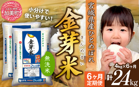 金芽米 新米定期便4kg×6回 金芽米