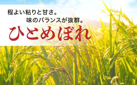 【ふるなび限定】 無洗米 ひとめぼれ 無洗米 無洗米 無洗米 / FN-Limited