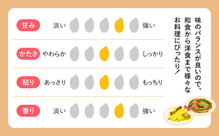 【ふるなび限定】 無洗米 ひとめぼれ 無洗米 無洗米 無洗米 / FN-Limited