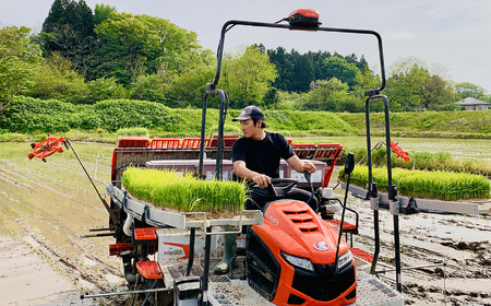 令和7年産ひとめぼれ 白米5kg 結心ファーム 白米