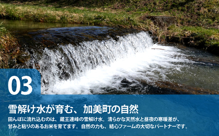 米 定期便 5kg× 6ヶ月 (計30kg) 令和7年 新米 宮城県産 ひとめぼれ 結心ファーム【yu-hb05-t6-r7】