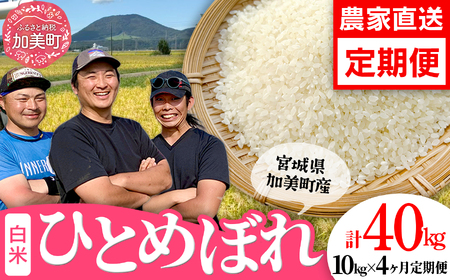 米 定期便 宮城県産 ひとめぼれ 10kg×4回 (計40kg)  令和7年 新米 結心ファーム【yu-hb10-t4-r7】