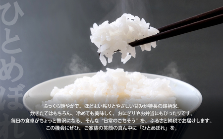 米 定期便 宮城県産 ひとめぼれ 10kg×4回 (計40kg)  令和7年 新米 結心ファーム【yu-hb10-t4-r7】