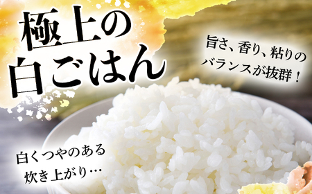 【ふるなび限定】 無洗米 つや姫 5kg 令和7年産 宮城県産 FN-Limited