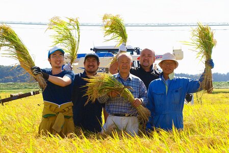 無添加糀みそ仙台味噌セット 無添加味噌