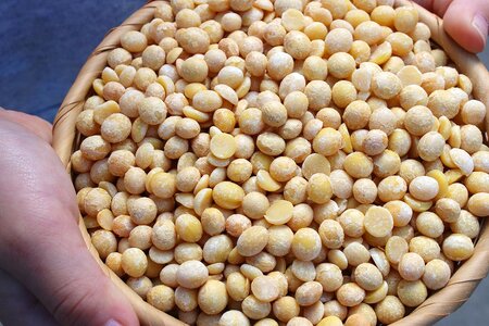 無添加糀みそ仙台味噌セット 無添加味噌